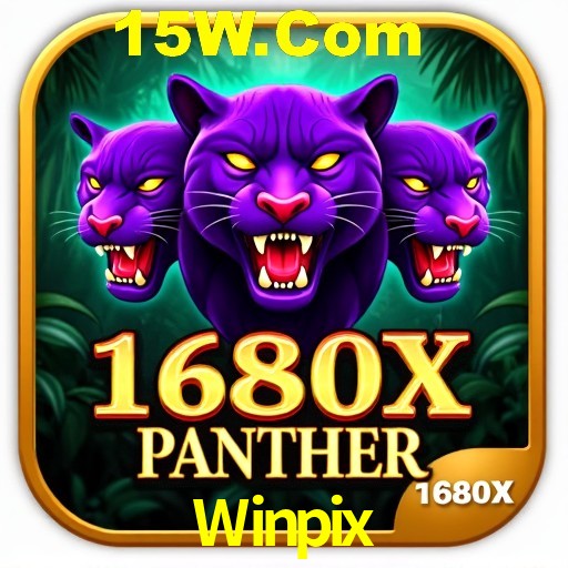 Interface Premium Winpix